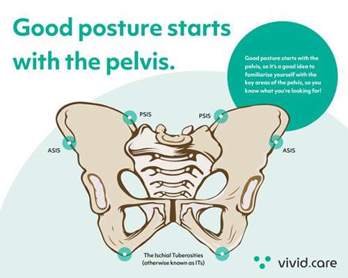 the importance of good posture in specialist seating