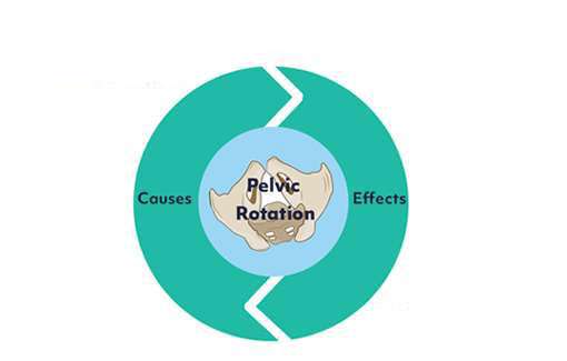 How Can Specialist Seating Correct Pelvic Rotation?